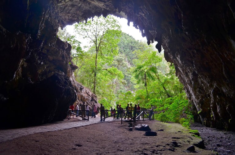 Cueva-de-guacharo4.jpg