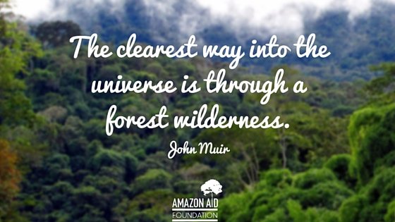 The clearest way into the universe is through a forest wilderness.jpg