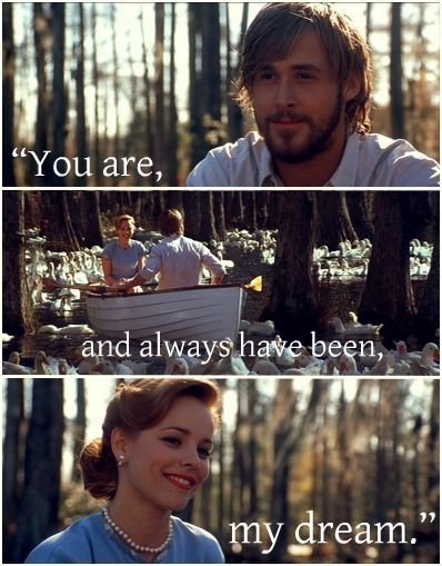 4ef8b1984543368094bf4184ec8e9d84--the-notebook-quotes-the-notebook-movie-quotes.jpg