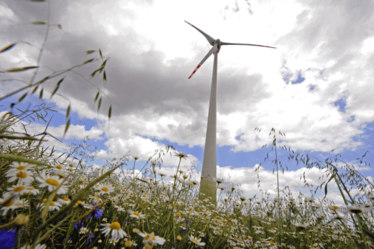 chile wind farm.jpg