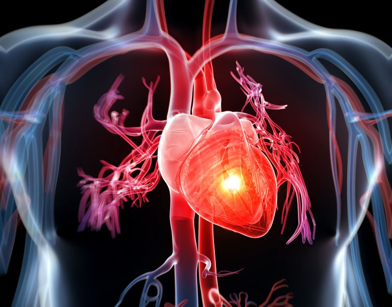 Heart-disease-cover-pic-1600-pix-wide.jpg