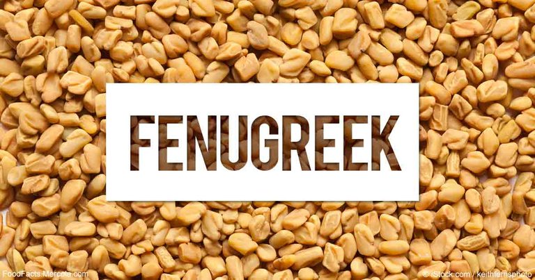 fenugreek-fb.jpg