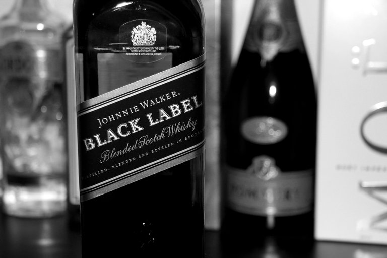 BnW Blacklable.jpg