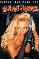 barb wire.jpg