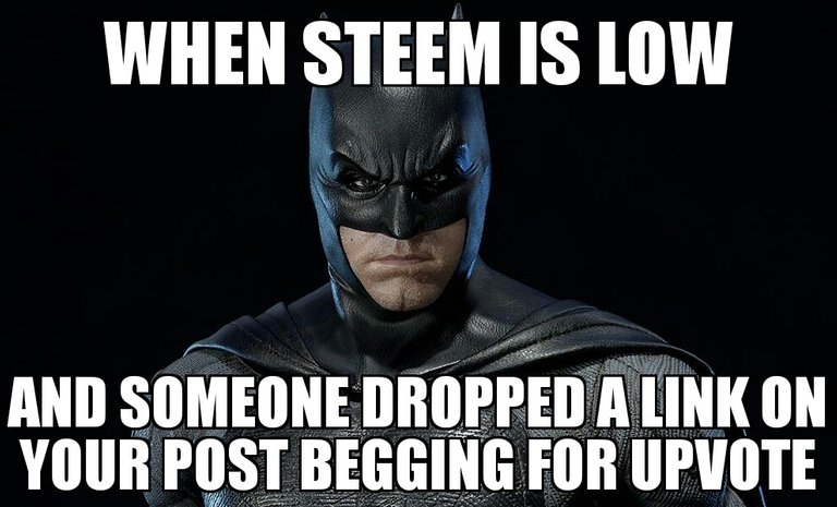 bat meme.jpg