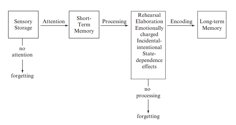 stages of memory.png