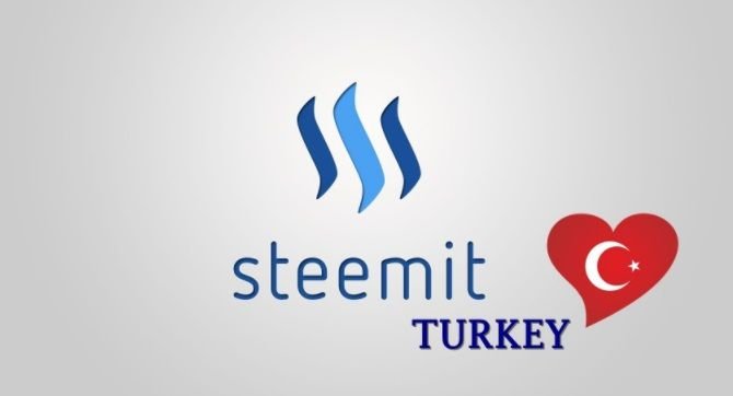 steem turkey.jpg