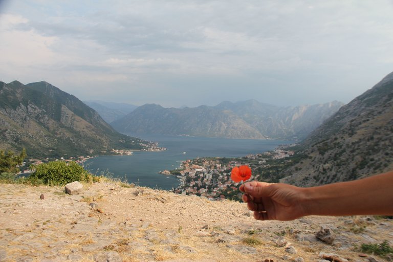 City Kotor Walls cityscape_2.JPG