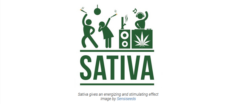 sativa action.PNG