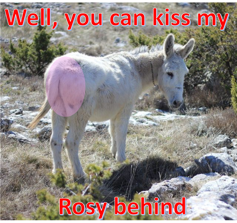 RosyAss.jpg.png