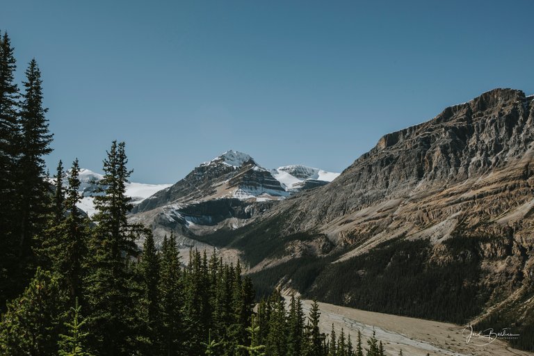 Alberta2016-2.jpg