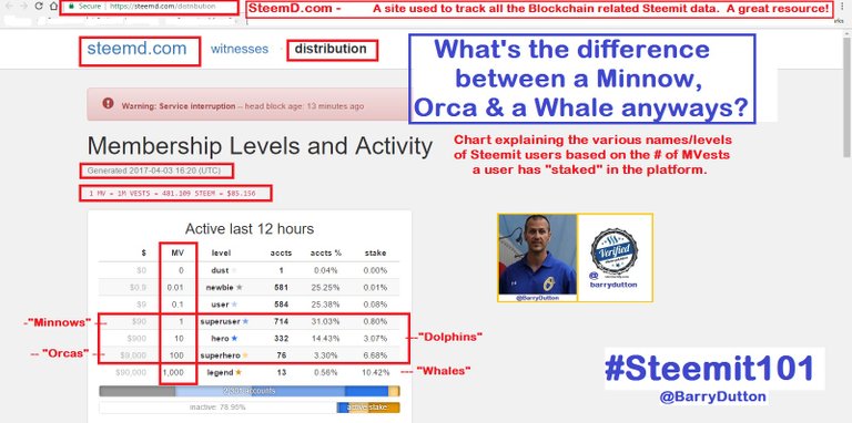 Steemd.com - #Steemit101 series - Scrnshot breaking down MVests - showing what a Minnow is by the charts + Steem distrib. pg..jpg