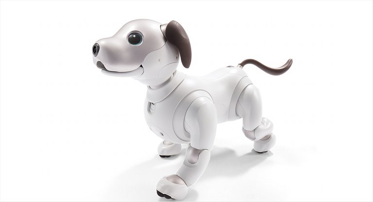 aibo-1.jpg