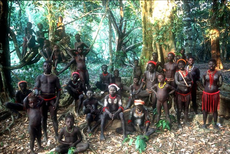 jarawa2.jpg