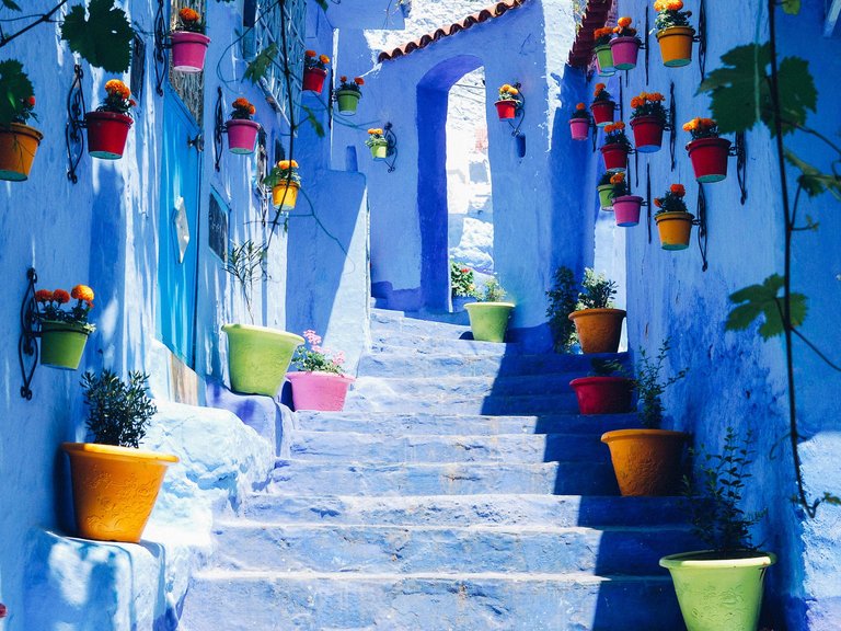 Chefchaouen-Lucy-Laucht-tout.jpg