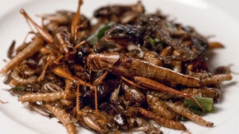 extra_large-1464356912-1939-will-we-all-be-eating-insects-in-50-years-768x432.jpg