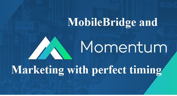 MobileBridge thumb.jpg