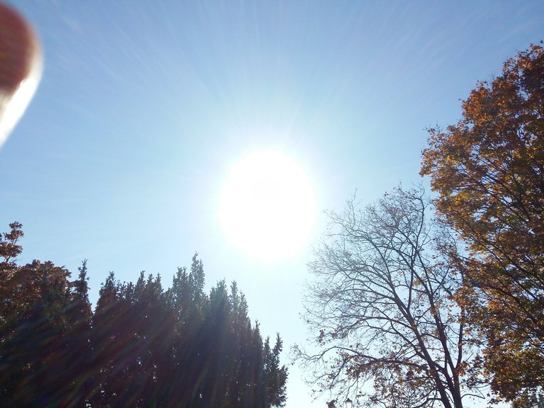 20171015_143136.jpg