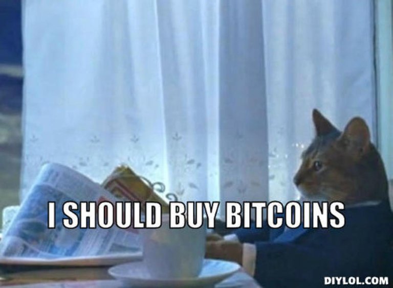 resized_i-should-buy-a-boat-cat-meme-generator-i-should-buy-bitcoins-2d279c.jpg