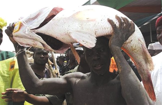 argungu-fishing-festival.jpg