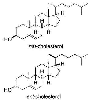 Nat-cholesterol_and_ent-cholesterol.jpg