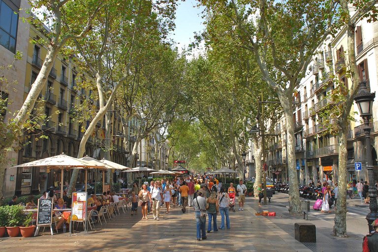 la-rambla-pictures-1-3.jpg