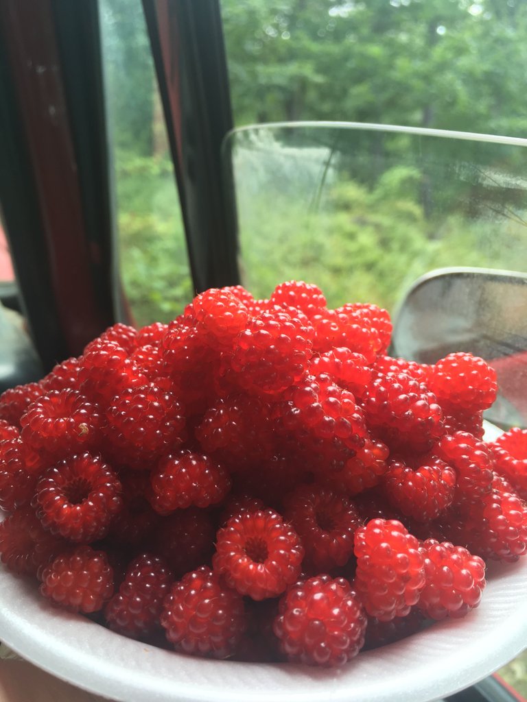 raspberries.jpg