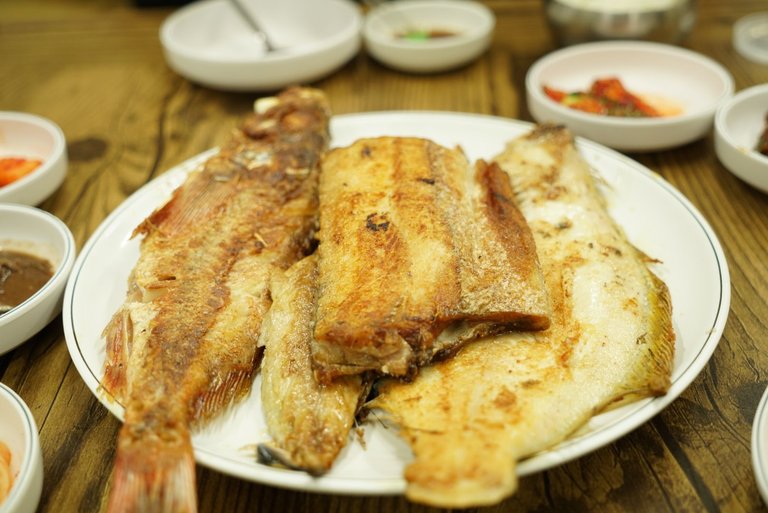 DSC06043.JPG