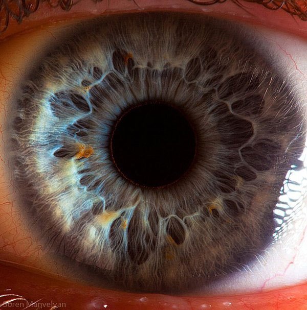 extreme-close-up-of-human-eye-macro-suren-manvelyan-8.jpg