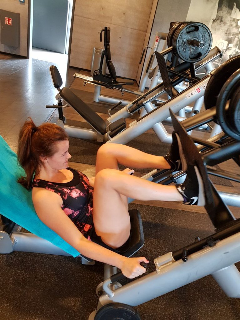 leg press.jpeg