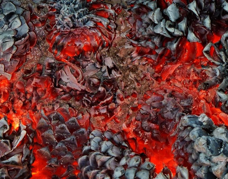 Burning Pinecones.jpg