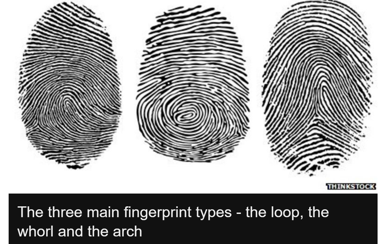 3 Types of Fingerprint.png