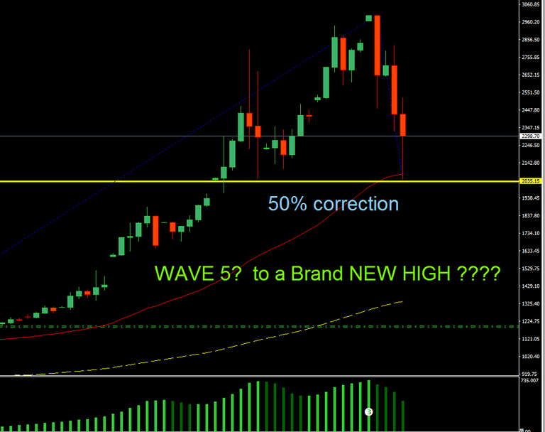 BTC wave 5.PNG