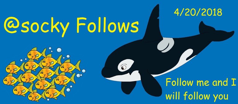 orca follow3.jpg