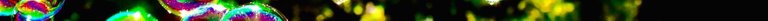 soap-bubbles-myriad-specks-blur-trees-background (3).jpg