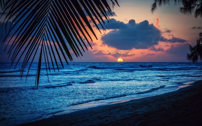 Beach-evening-sunset-clouds-leaves-Caribbean-sea_m.jpg