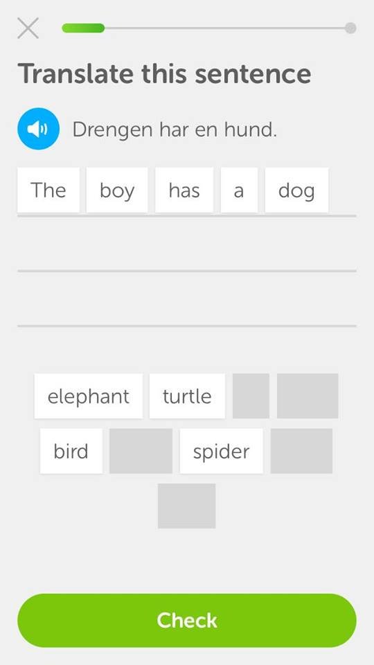 duolingo5.jpg