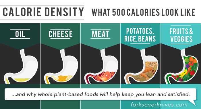 Caloric-Density-FINAL.jpg