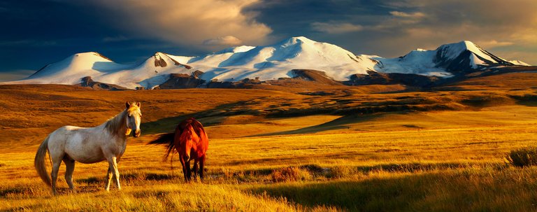 mongolia-header.jpg