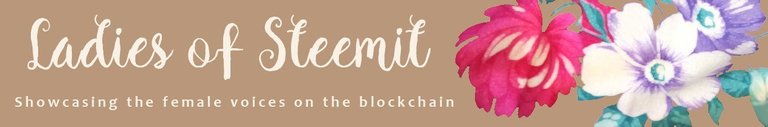 Ladies of Steemit Tan banner.jpeg
