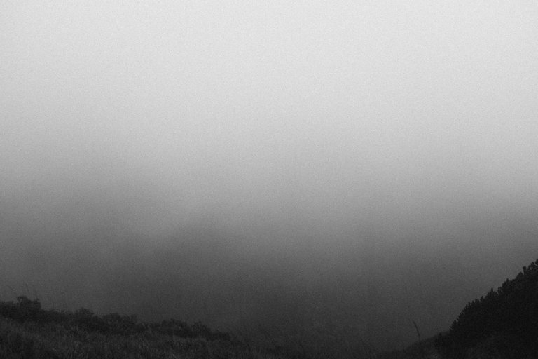 S0255028.jpg