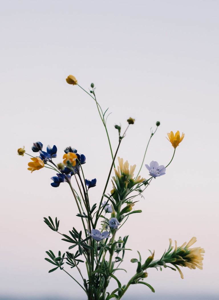 flower-arrangement-91.jpg