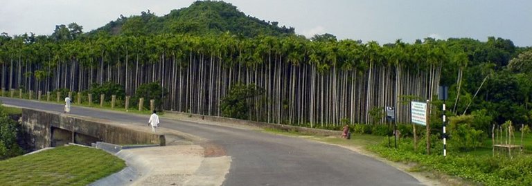 on-the-way-to-coxsbazar.jpg