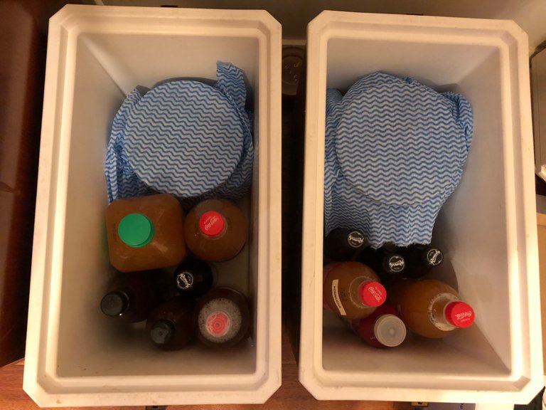 Fermenting tea for Kombucha