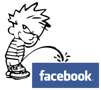 0278615_facebook_sucks_xlarge.png