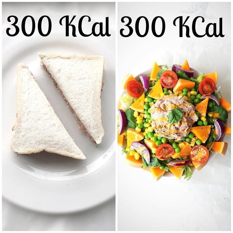 300 cal.jpg