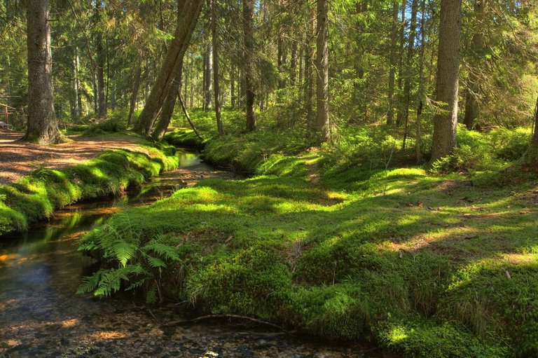 www.bernau-schwarzwald.de.jpg