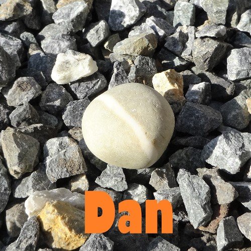 Dan.sm.jpg