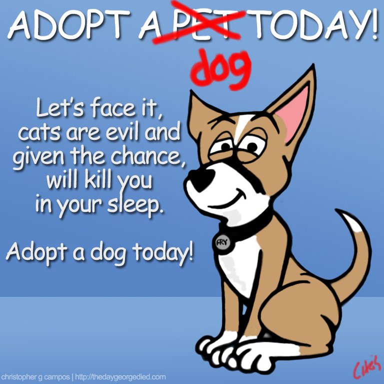 adopt1.jpg