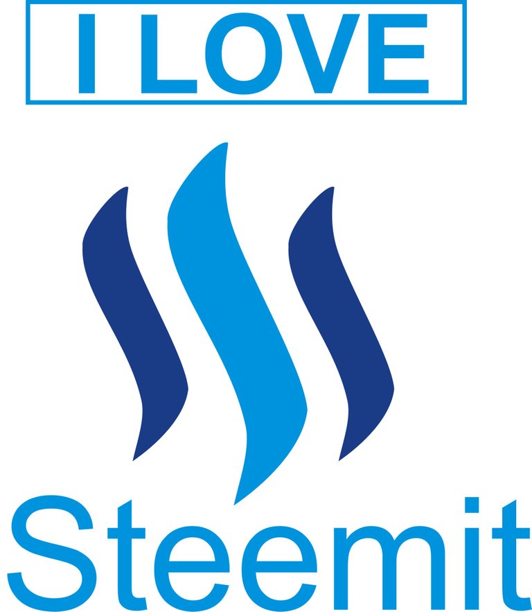 STEEM L.jpg